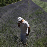 Gurunanda lavender essential oil